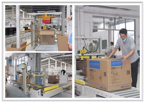 工廠巨變 從百人到十人，浴室柜行業的生產革命與市場陣痛